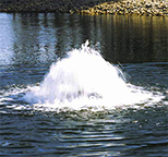  Torrent Nozzle Floating Display Aerator 